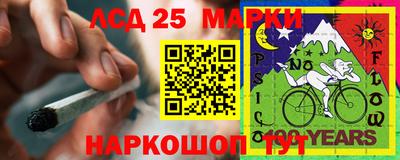 СК Пугачёв