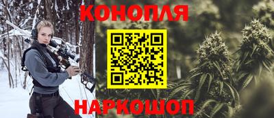СК Пугачёв