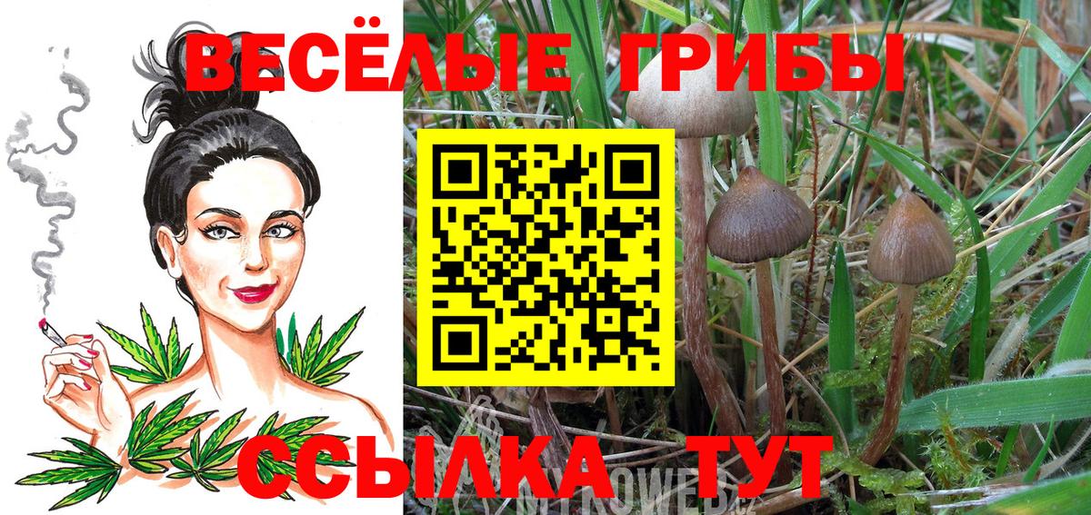 Псилоцибиновые грибы мухоморы Обнинск